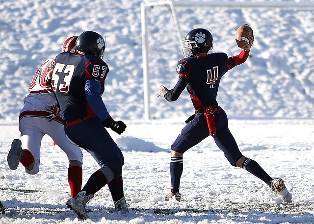 心目